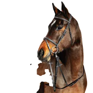 Snaffle bridles for horses Horze Constance image-1