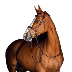 Cabezadas con muserola combinada para caballos Horze Sion image-2