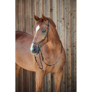 Snaffle bridles with combination noseband for horses without bit Horze Orlando image-0