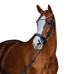 Brida anatómica alemana para caballos Horze Positano image-1