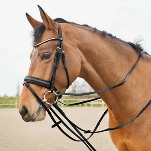 Niemiecki skórzany horsebit Horze Sparta image-1