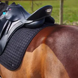 Verfrissend dressuurzadeldekje Horze Limited Edition image-4