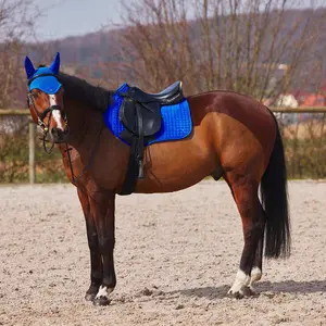 Verfrissend dressuurzadeldekje Horze Limited Edition image-2