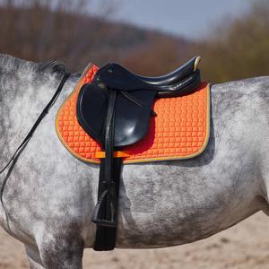 product/h/o/horze_17343cgo_2.jpg