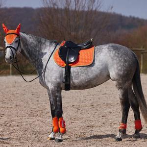 product/h/o/horze_17343cgo_3.jpg