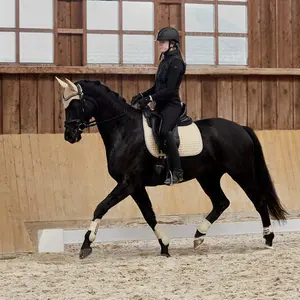 Anti-vlieg paardenmuts Horze Adepto image-1