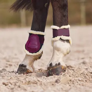 Fetlock laarzen met imitatiebont voering Horze Windsor image-4