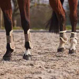 Fetlock gaiters with faux fur lining Horze Windsor image-4