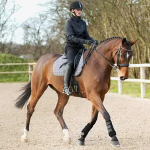 Guêtres pour cheval antérieurs Horze ProSoft image-4