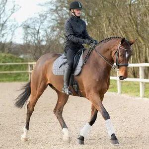 Guêtres pour cheval antérieurs Horze ProSoft image-4