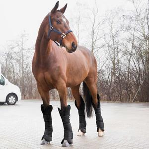 Gaiters for transport horses Horze image-1