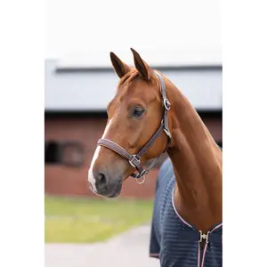 Kantarek dla konia Horze Sophistication Leather image-1