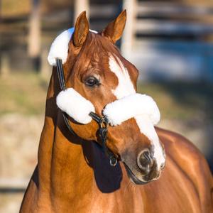 Sheep halter sheath Horze image-1