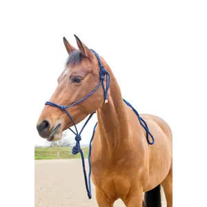 Knotted reins halter set for horses Horze image-0