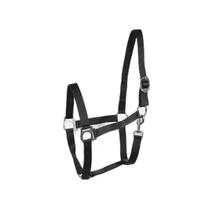 Basic horse halter Horze image-0
