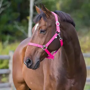 Basic horse halter Horze image-1