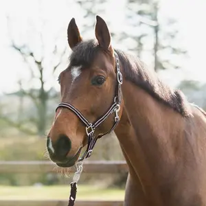 Cabezada para caballos Horze Nice image-0