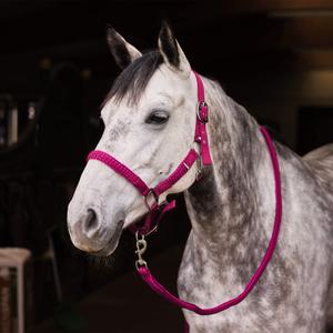 Halter and lead rope set for horse Horze Chicago image-1