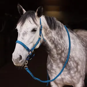 Halter and lead rope set for horse Horze Chicago image-1