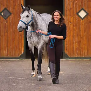 Halter and lead rope set for horse Horze Chicago image-2