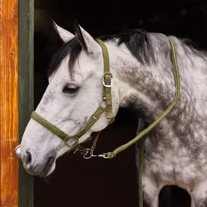 Halter and lead rope set for horse Horze Chicago image-2
