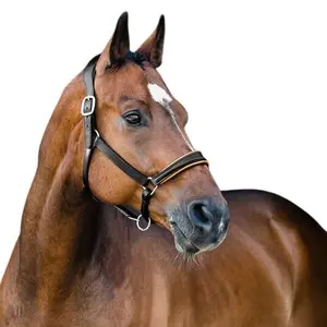 Cabezada de cuero para caballos Horze Louis image-1