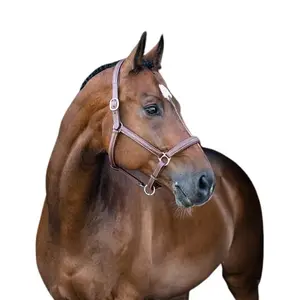 Cavezza in cuoio morbido per cavalli Horze Warren image-1