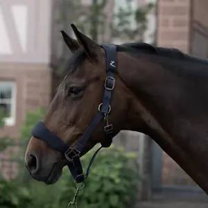 Halfter Horze Graz image-1