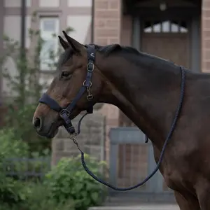 Halfter Horze Graz image-2