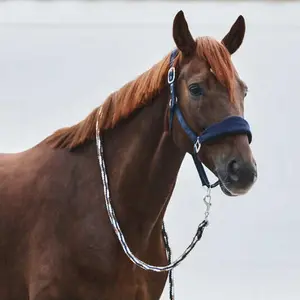 Horse halter with fleece padding Horze Kiel image-1