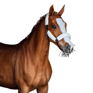 Cabezada para caballos con pelo Horze Lincoln image-2