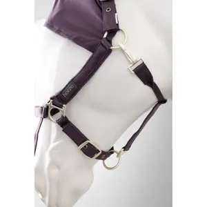 Halster med flugmask för häst Horze Paso Fino image-1