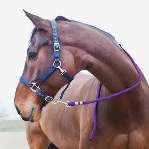 Λουρί με αντι-πανικό καραμπίνερ για άλογο Horze image-1