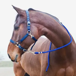 Lanyard with anti-panic carabiner for horses Horze image-1