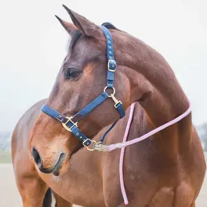 Lanyard with anti-panic carabiner for horses Horze image-1