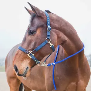 Lanyard with anti-panic carabiner for horses Horze image-1