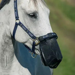 Anti-fly mask for horses Horze image-0