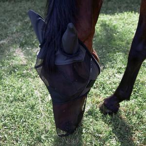 Verfrissend Anti-Vliegenmasker voor paarden Horze Limited Edition image-3