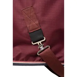 Coperta per cavalli da esterno Horze Glasgow 0g image-5