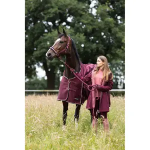 Coperta per cavalli da esterno Horze Glasgow 0g image-2