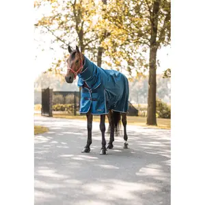 Outdoor horse blanket Horze Glasgow 100g image-1