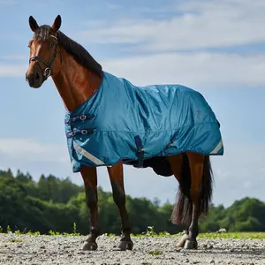 Medium horse blanket Horze Turin 150 g image-1