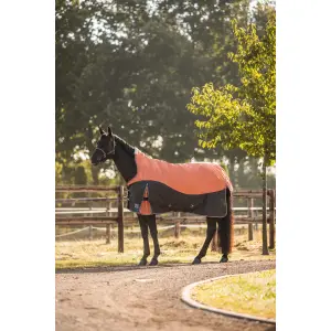 Outdoor horse rug with high collar Horze Lucerne 250g image-0