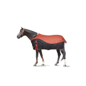 Outdoor horse blanket Horze Lucerne 150g image-0