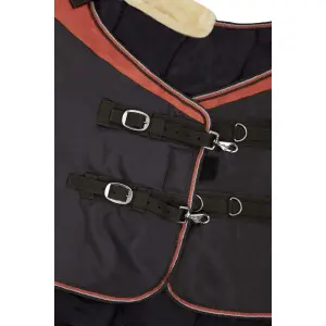 Outdoor horse blanket Horze Lucerne 150g image-1
