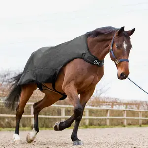 Couverture marcheur pour cheval Horze Nevada 200 g image-1