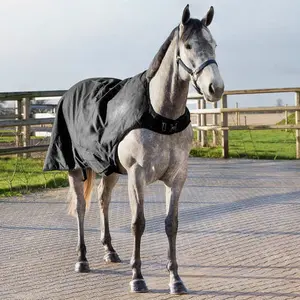 Couverture marcheur pour cheval Horze Nevada 200 g image-3