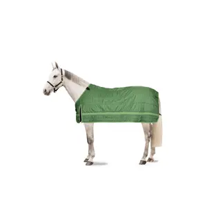 Fleece-lined blanket for horses Horze Quebec 100g image-0