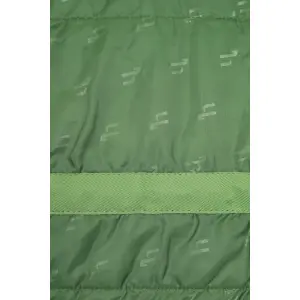 Fleece-lined blanket for horses Horze Quebec 100g image-3