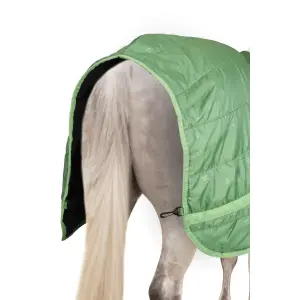 Fleece-lined blanket for horses Horze Quebec 100g image-2